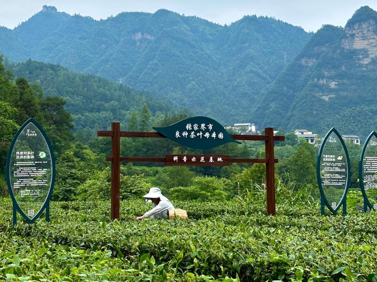 Zhangjiajie National Park Nvue Resorts المظهر الخارجي الصورة
