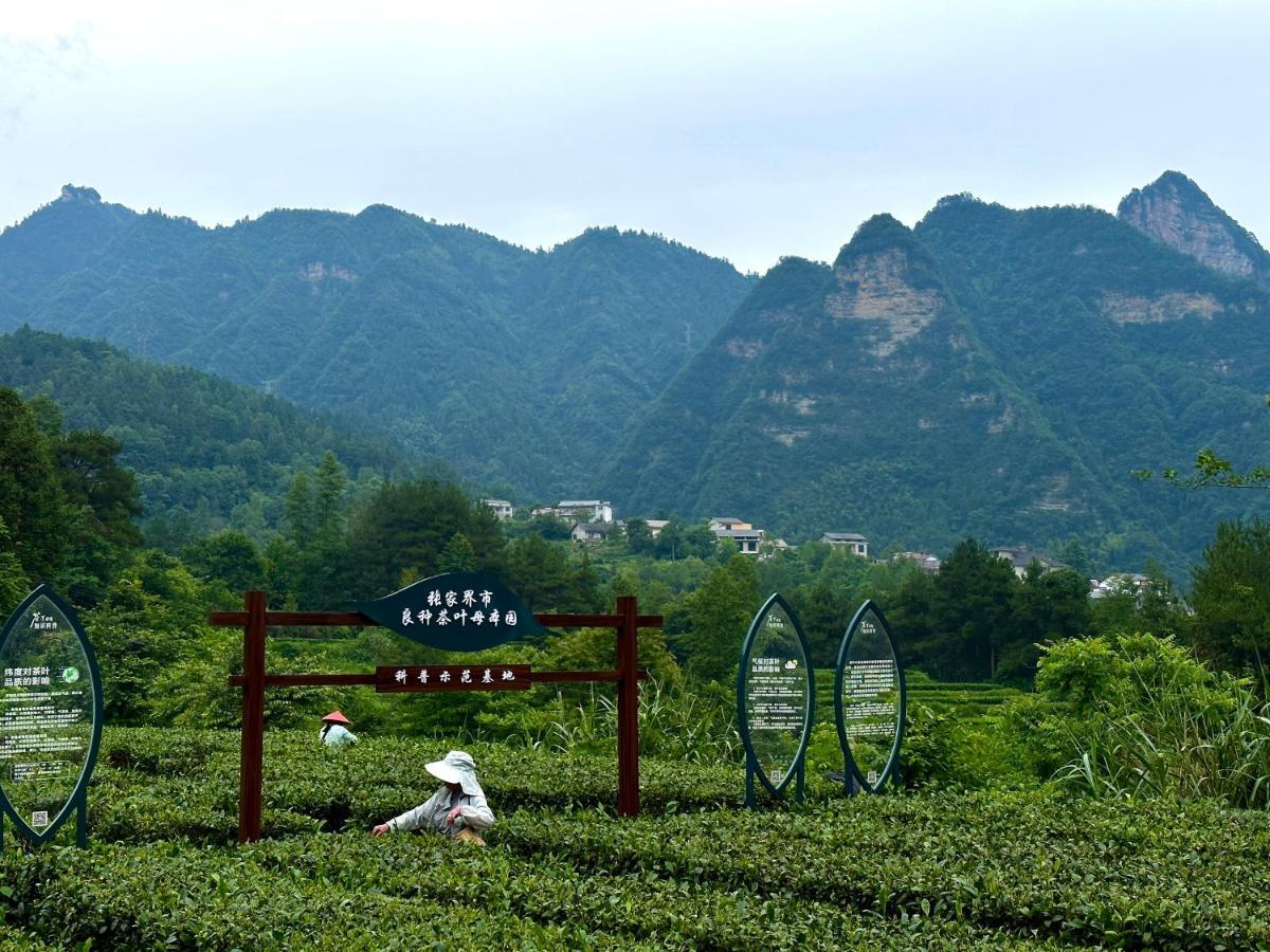 Zhangjiajie National Park Nvue Resorts المظهر الخارجي الصورة